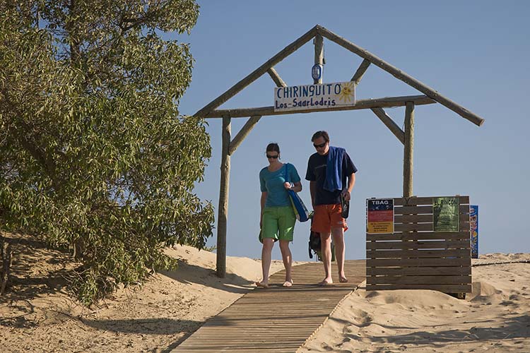 Playa de Isla Canela-detalle. Ayamonte_a